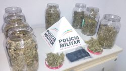 potes-de-vidro-com-1-kg-de-maconha-sao-apreendidos-dentro-de-carro-em-divinopolis