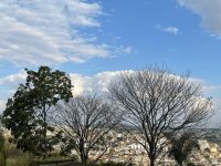 previsao-aponta-dias-quentes-e-secos,-com-queda-de-temperatura-a-noite-durante-a-semana-no-centro-oeste-de-minas