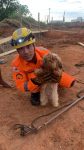 cachorro-e-resgatado-de-buraco-de-obra-de-cerca-de-8m-de-profundidade-em-lagoa-da-prata