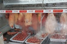 mais-de-meia-tonelada:-carnes-improprias-para-o-consumo-sao-apreendidas-durante-fiscalizacao-em-bom-despacho;-tres-acougues-sao-interditados