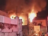 dois-cachorros-sao-salvos-pelos-bombeiros-durante-incendio-em-casa-em-oliveira