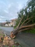 chuva-forte-danifica-a-rede-eletrica-e-interrompe-fornecimento-de-energia-em-carmo-da-mata