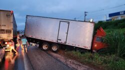 50-toneladas-de-farelo-de-milho-ficam-espalhadas-na-estrada-apos-acidente-na-br-262,-em-nova-serrana