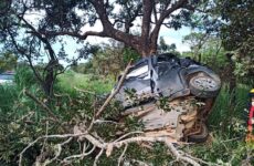 motorista-bate-carro-em-arvore-e-morre-na-mg-164,-entre-martinho-campos-e-pompeu