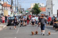 inscricoes-sao-abertas-para-a-3a-‘fantastica-corrida-e-caominhada’-de-divinopolis